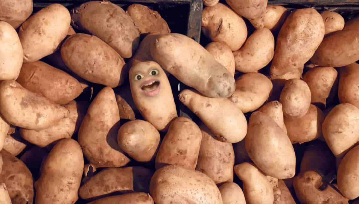 Portada de Estreno: Merci Advertising presenta su nueva campaña para Simplot