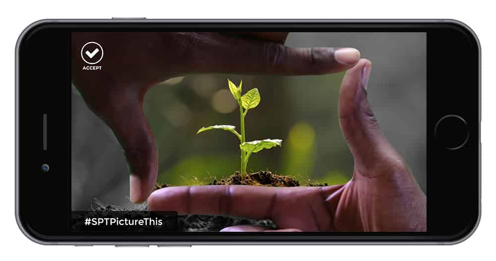 Portada de  Sony Pictures Television Networks lanza la app Picture This 